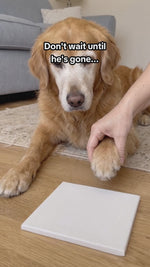 Paw Print Keepsake Kit
