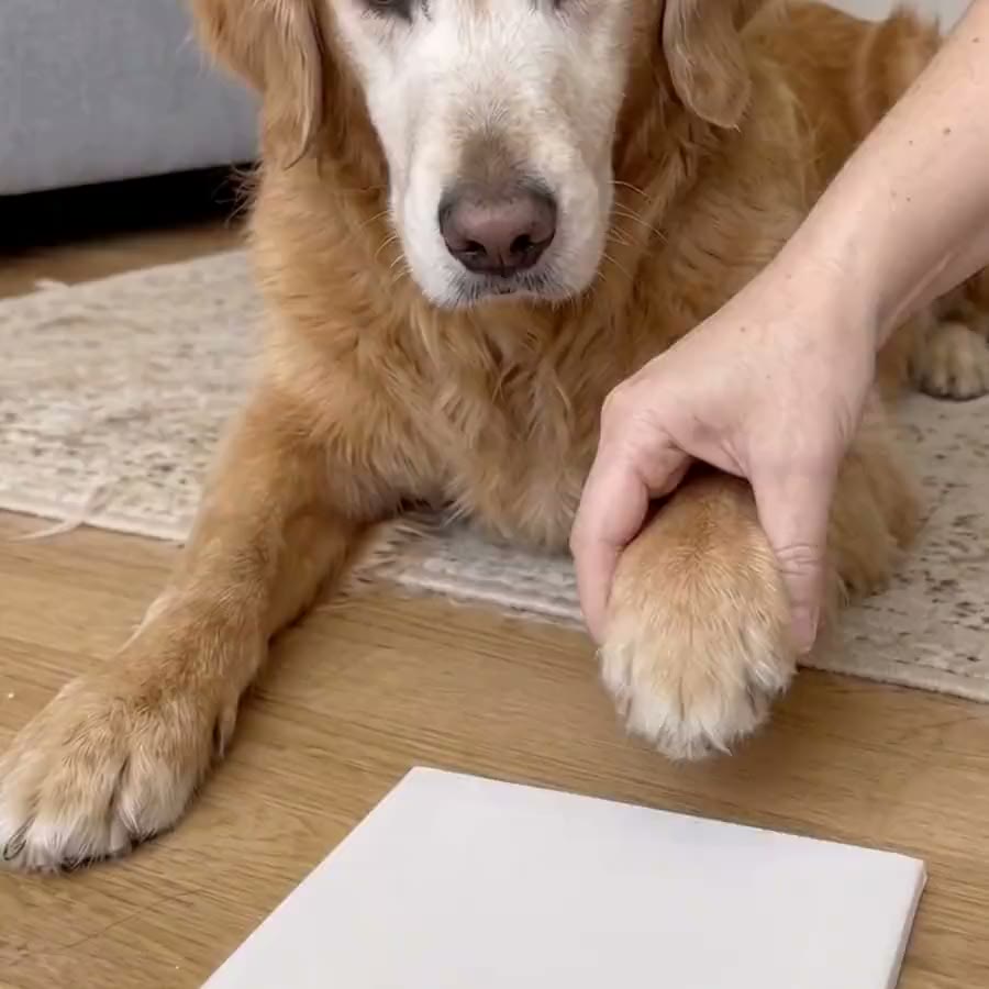 Paw Print Keepsake Kit video