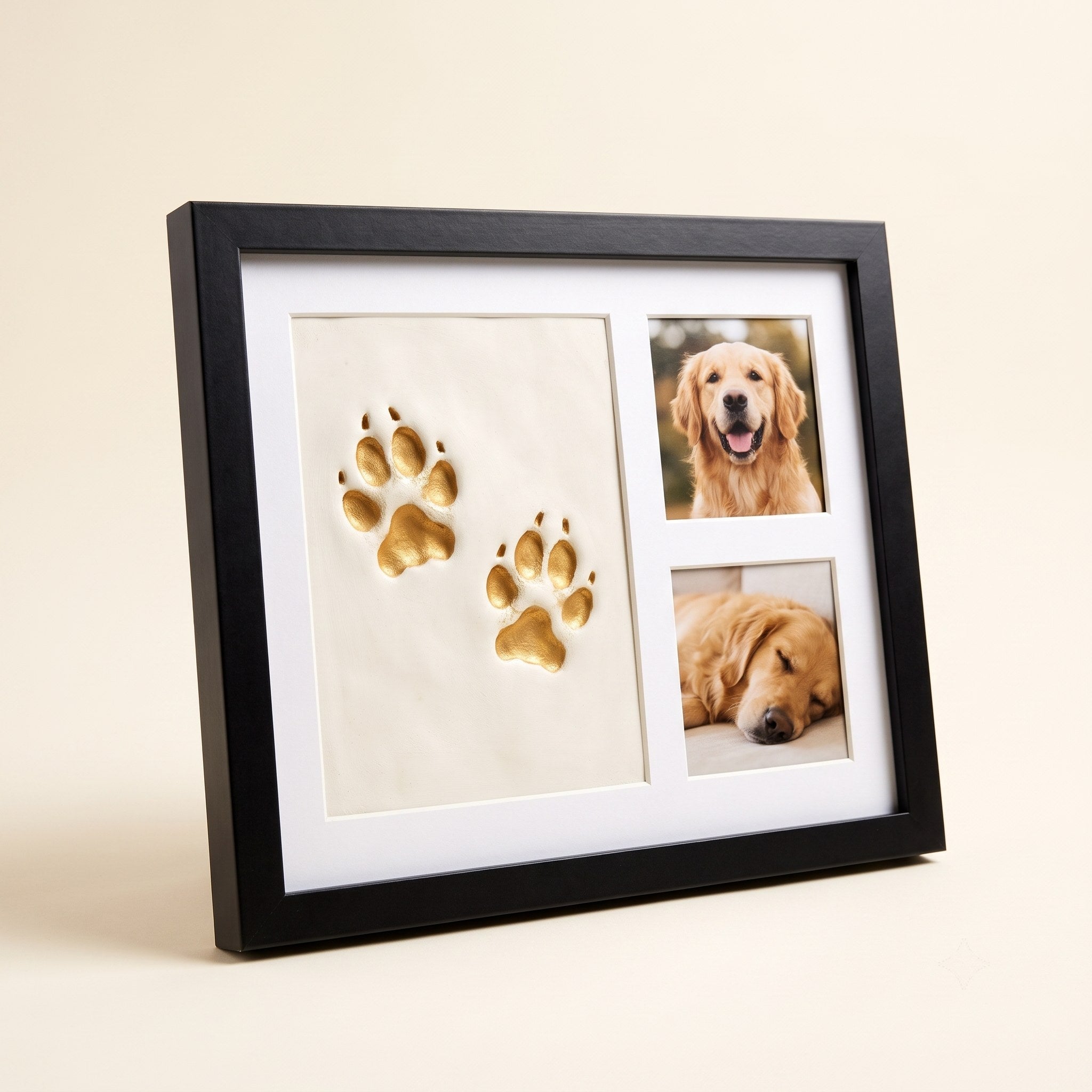 Midnight black paw print keepsake frame with gold prints