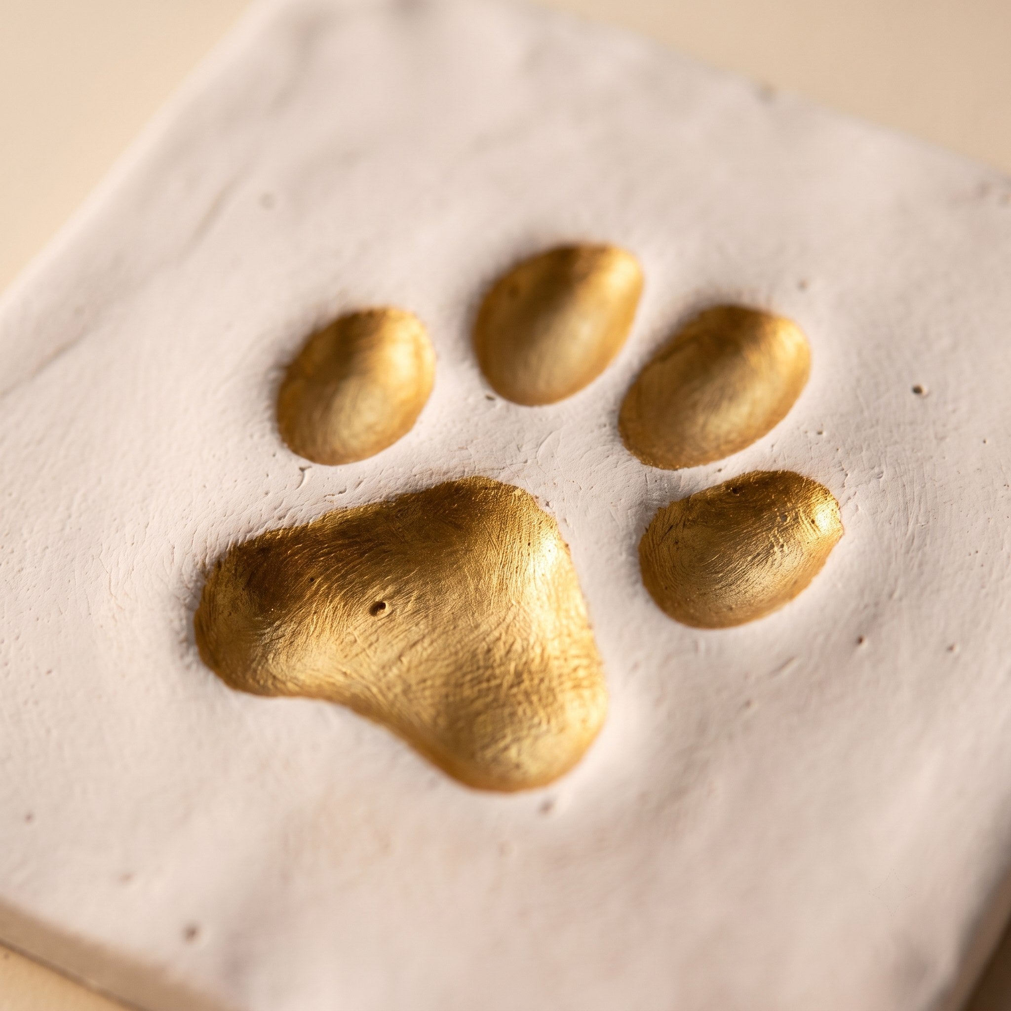 Close up of the gold painted paw print in the clay