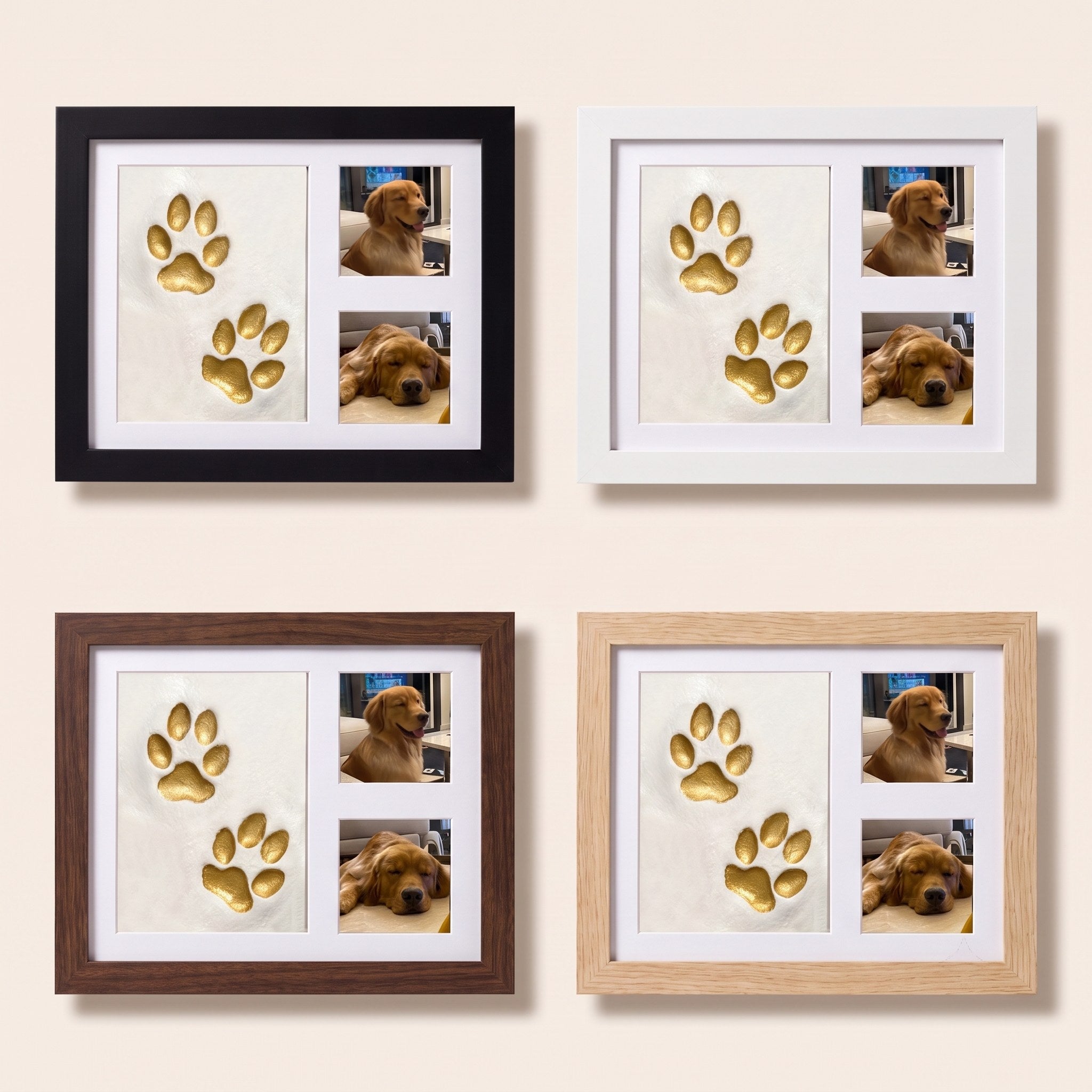 All four frame colours: Midnight, Cloud, Cocoa and Honey